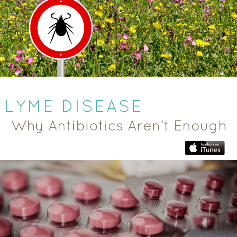 Lyme Disease: Why Antibiotics Arent Enough  Integrative Wellness Group