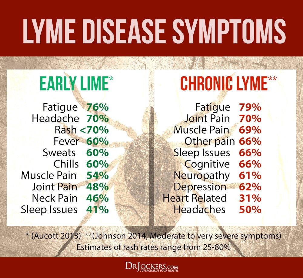 Lyme life