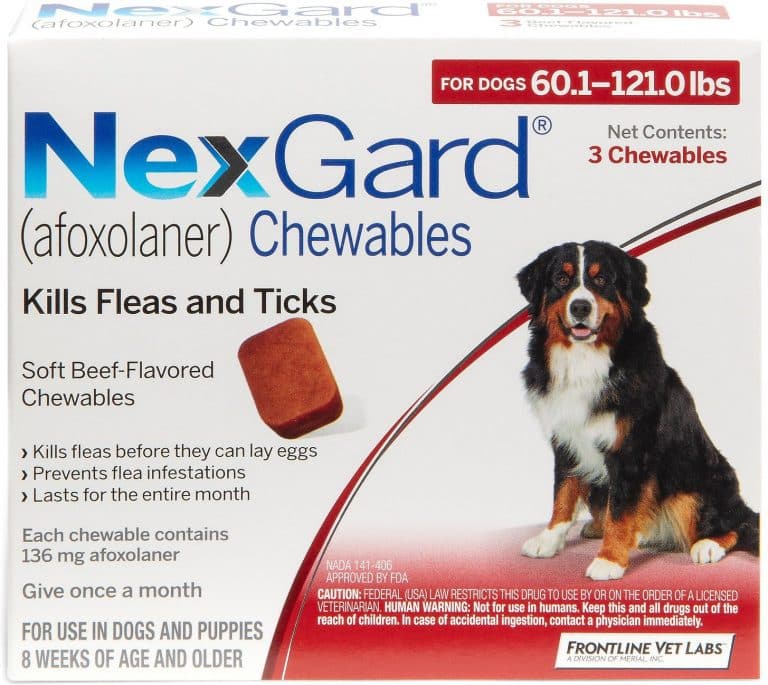 NexGard vs Frontline Plus: What (Woof) Is the Difference?