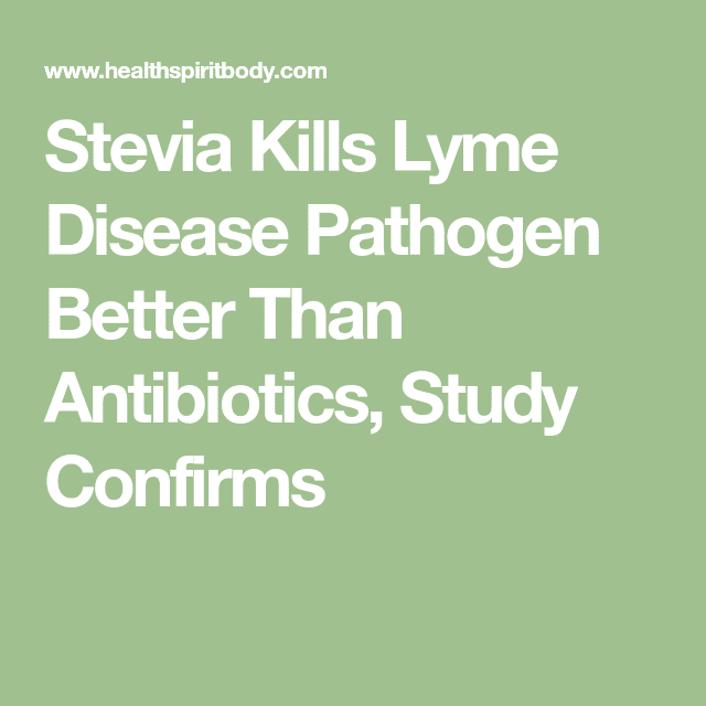 Stevia Kills Lyme Disease Pathogen Better Than Antibiotics, Study ...