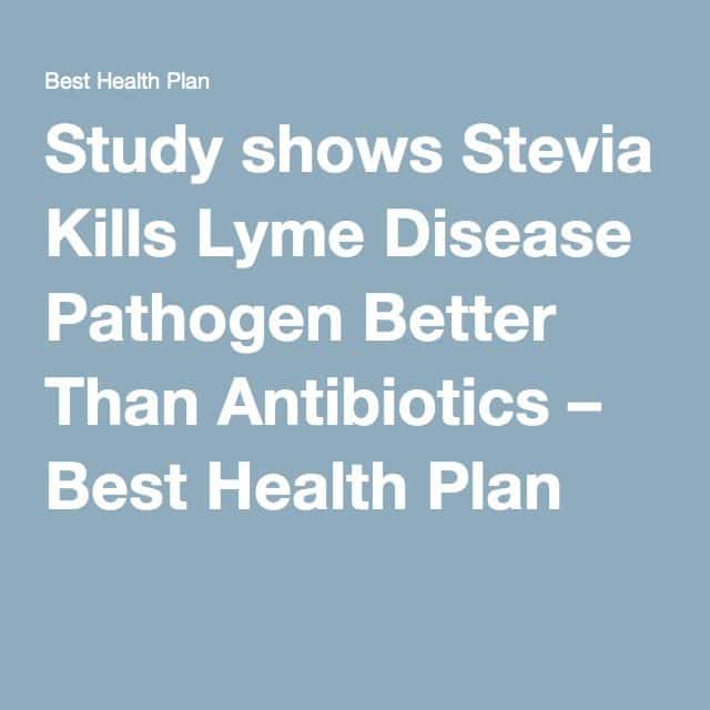 Study shows Stevia Kills Lyme Disease Pathogen Better Than Antibiotics ...