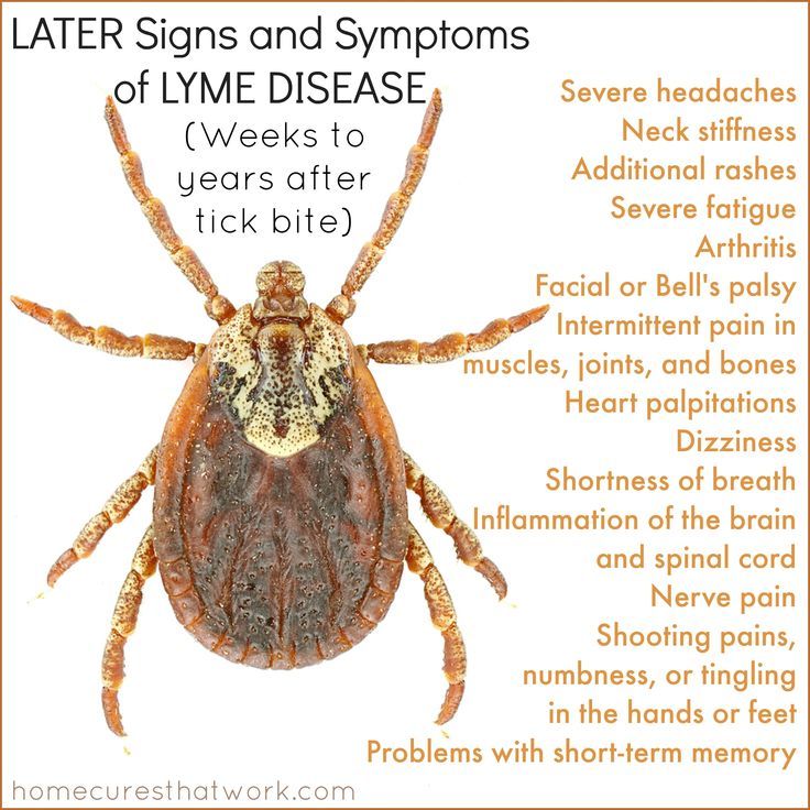 The Reality of Lyme Disease Infectiousness