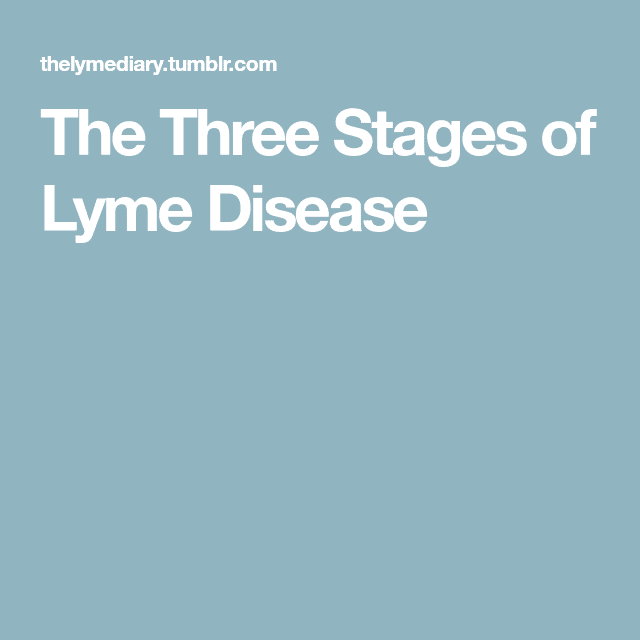 The Three Stages of Lyme Disease