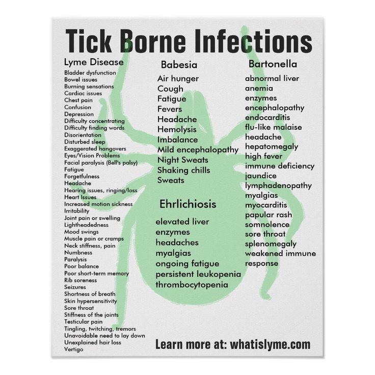 Tick Borne Infections Symptoms Educational Poster