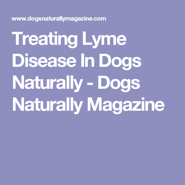 Treating Lyme Disease In