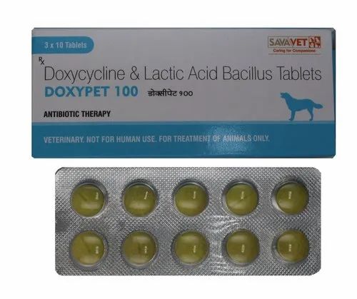 Doxycycline Dosage Lyme Disease Dogs