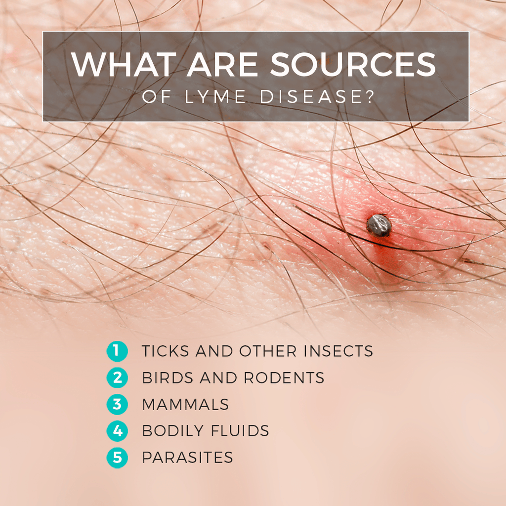 Hidden Symptoms And Sources Of Lyme