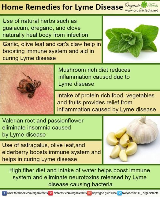 Home Remedies for Lyme Disease