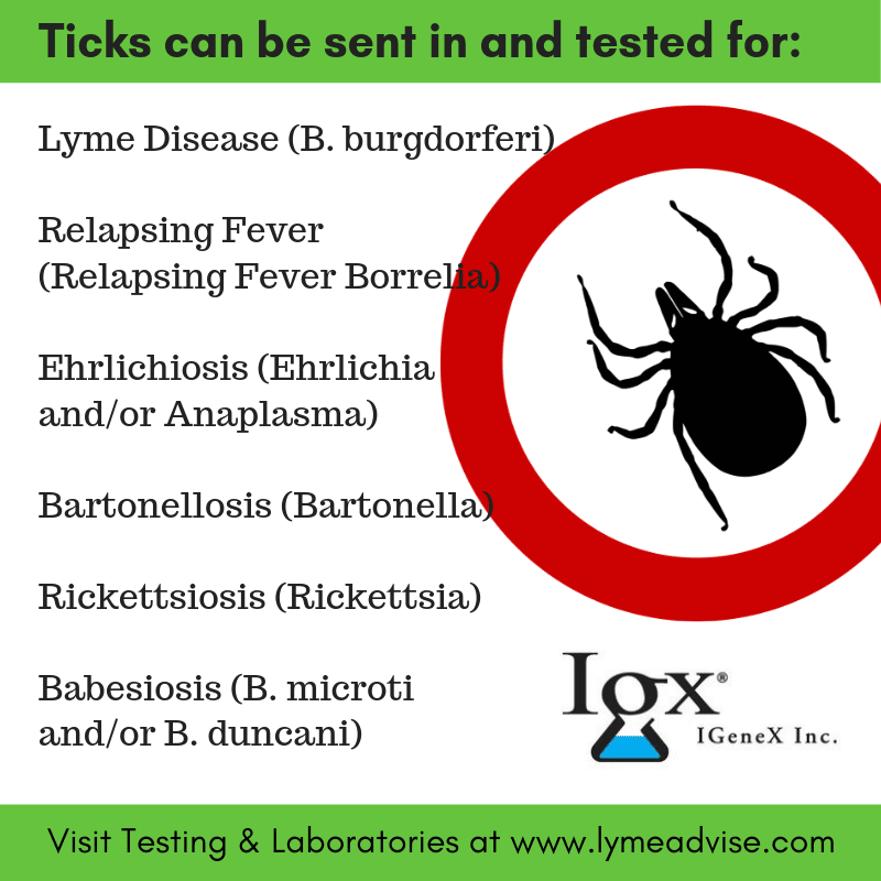 How To Prevent Getting A Tick Bite