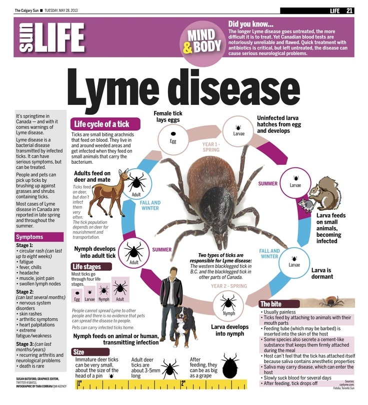 Its springtime in Canada  and with it comes warnings of Lyme disease ...