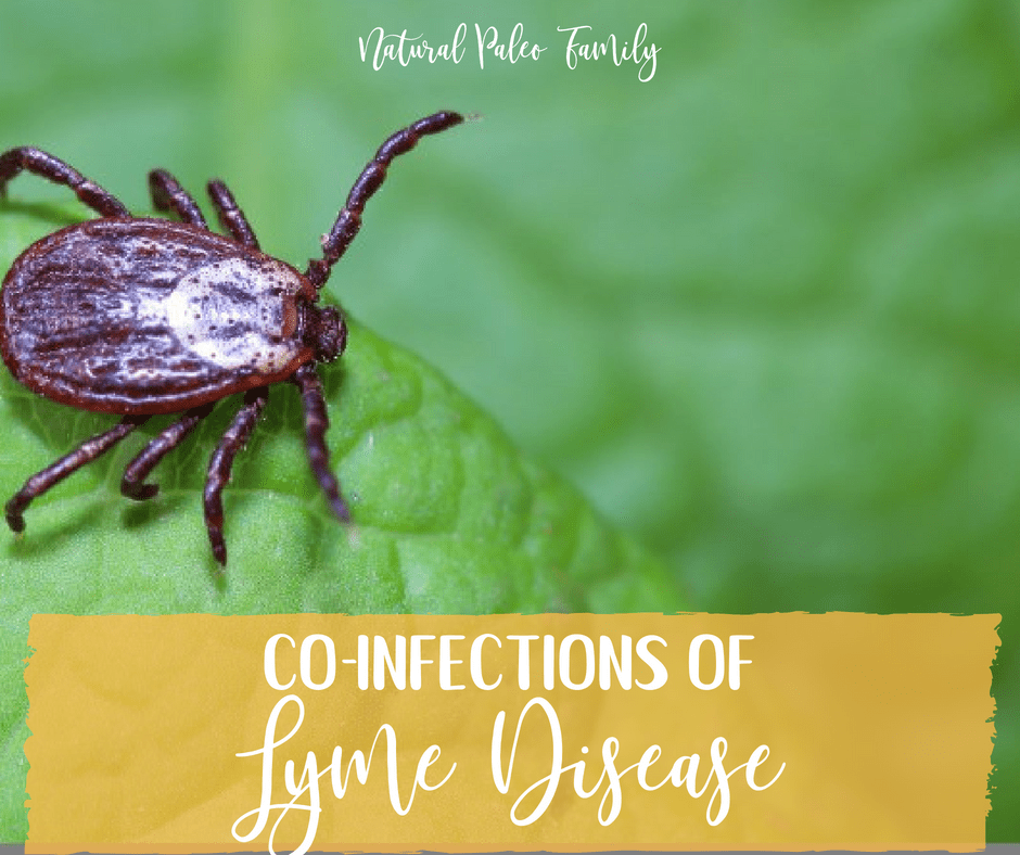 Learning Lyme: Co