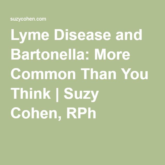 Lyme Disease and Bartonella: More Common Than You Think