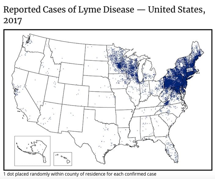 Lyme disease prevention for the little ones