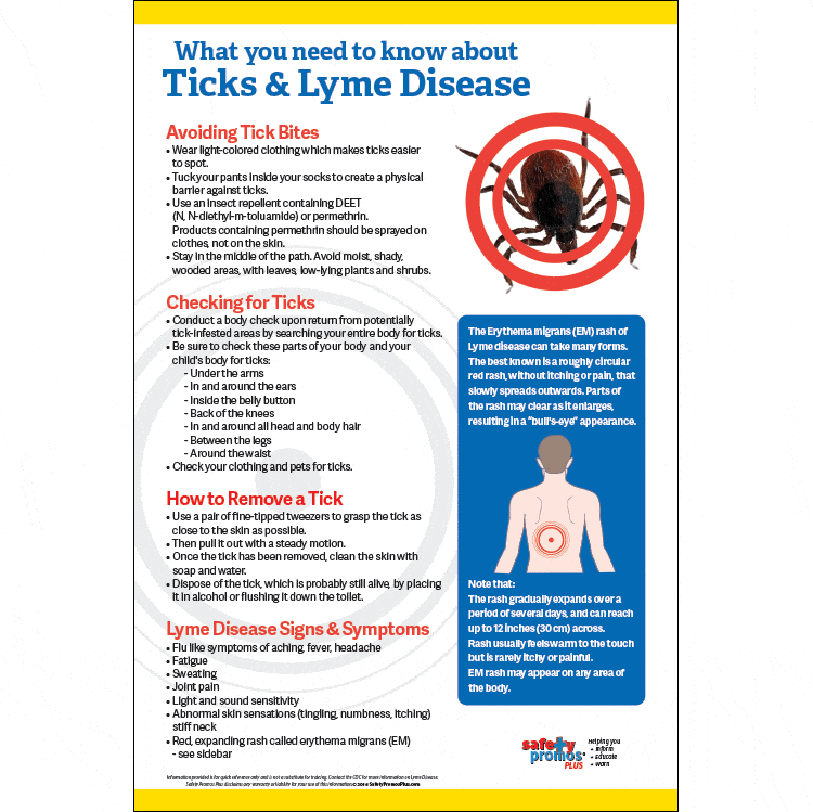 Lyme Disease / Ticks