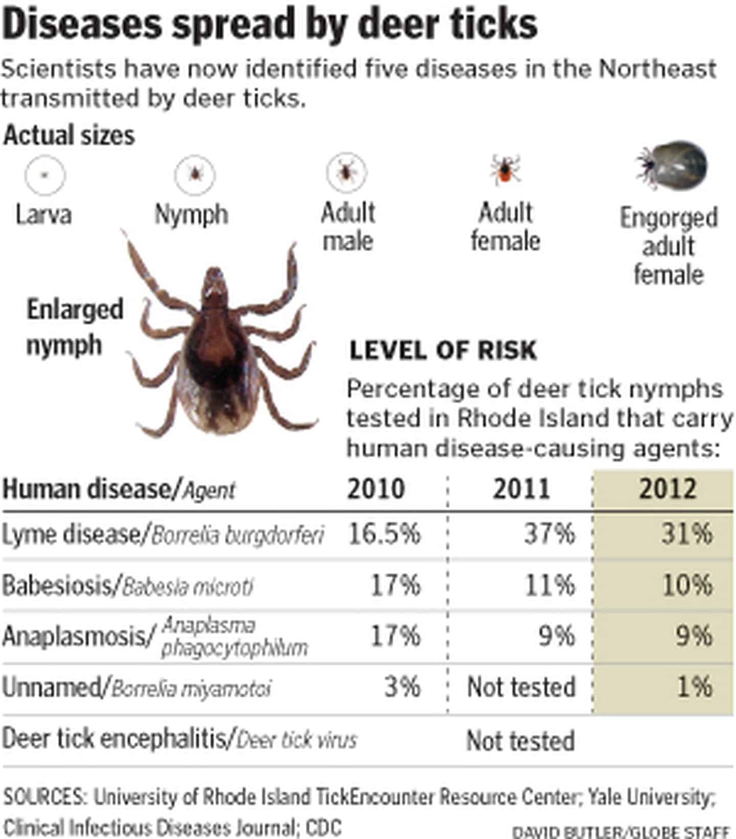 New illness tied to ticks that carry Lyme disease