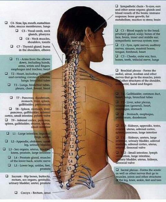 Pin on Back pain