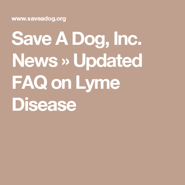 Save A Dog, Inc. News Â» Updated FAQ on Lyme Disease