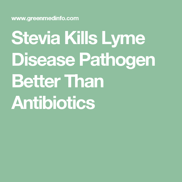 Stevia Kills Lyme Disease Pathogen Better Than Antibiotics