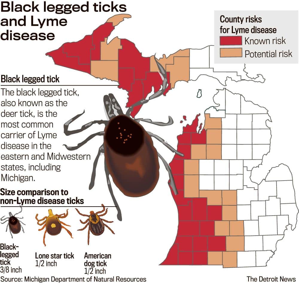 Ticks, Lyme disease fears leap in Michigan