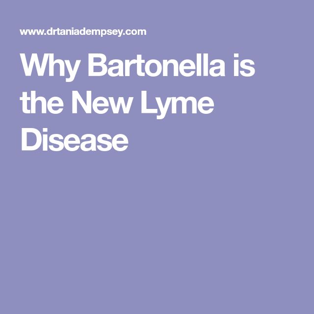 Why Bartonella is the New Lyme Disease