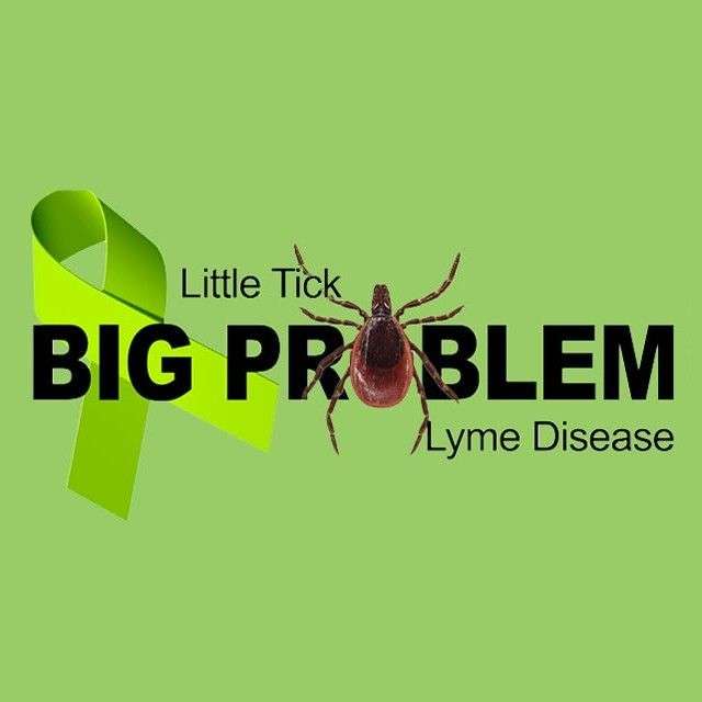 Can You Treat Lyme Disease Years Later