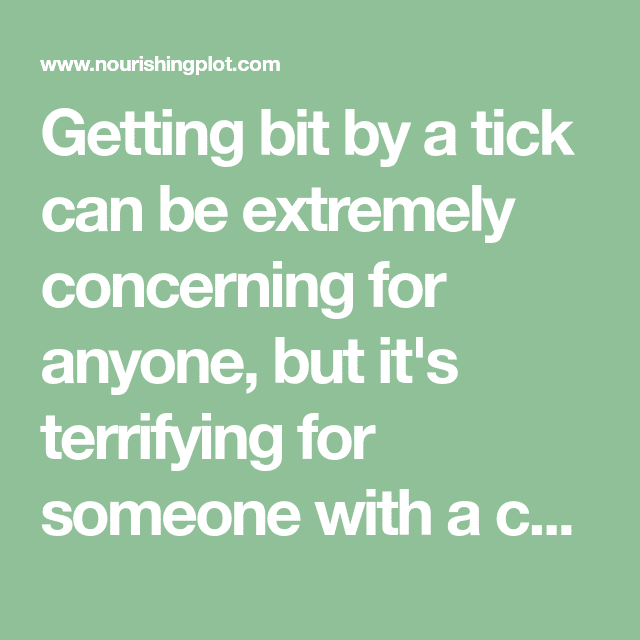 Getting bit by a tick can be extremely concerning for anyone, but it