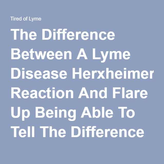 Herxheimer Reaction Lyme Disease