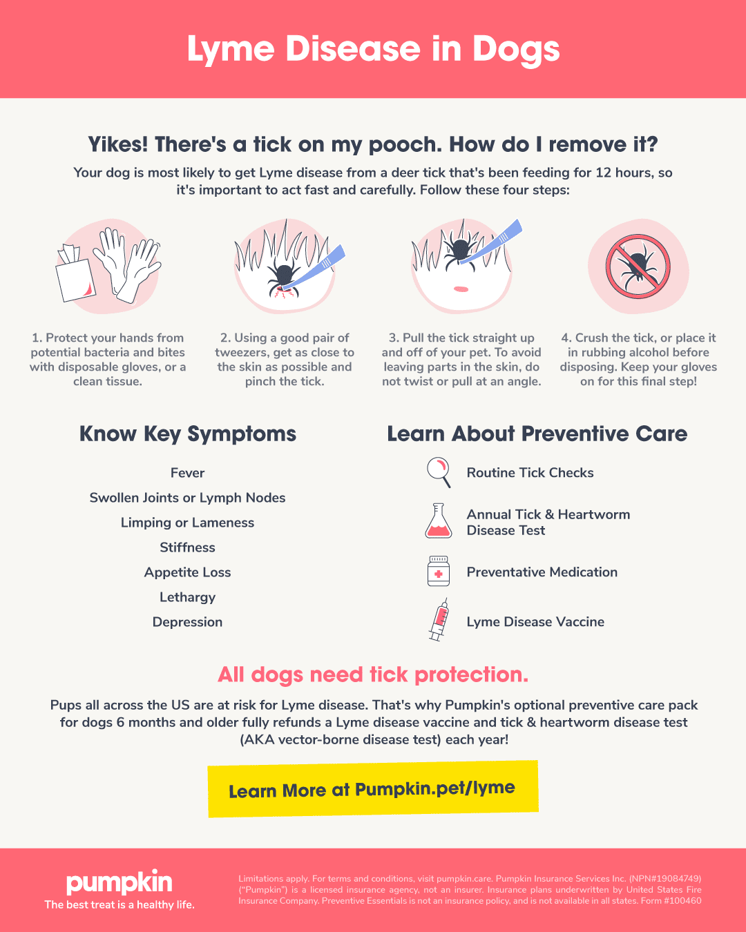 Impawtant Stuff to Know About Lyme Disease In Dogs