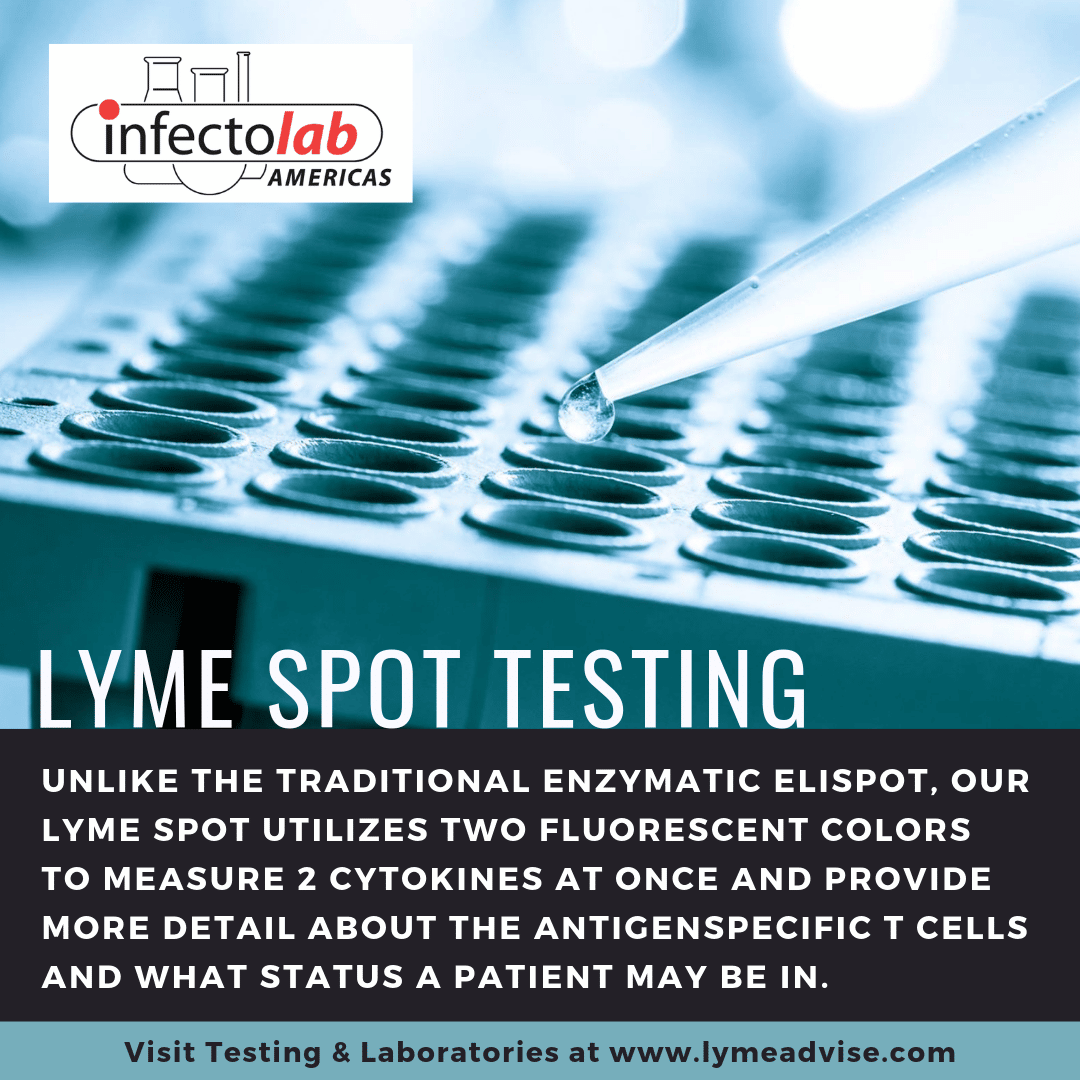 Learn more about the new Lyme Spot Testing at Infecto Lab Americas and ...