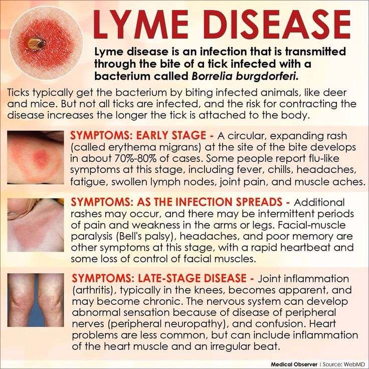 Lyme Disease High Blood Pressure