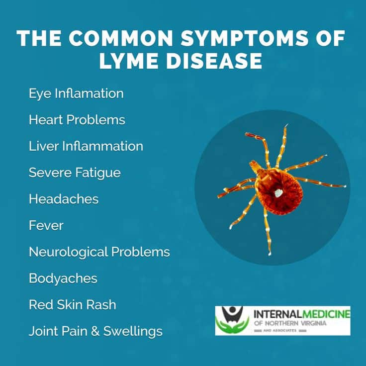 Pin by Danielle Moore on Lyme Disease
