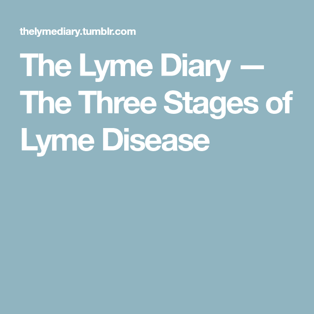 The Lyme Diary  The Three Stages of Lyme Disease